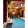 Piscina, hidromasaje, turco y sauna